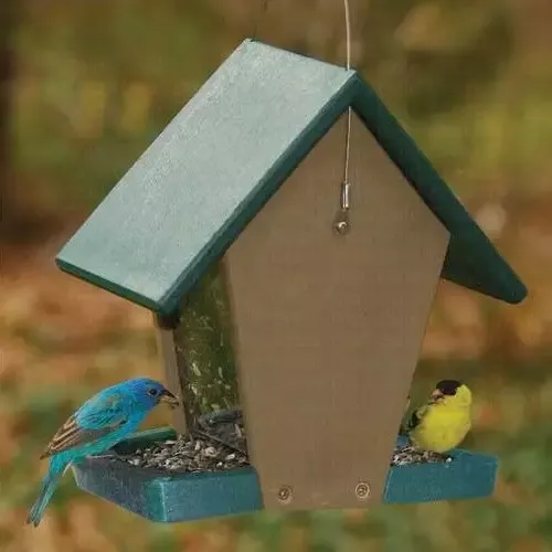 Songbird Essentials Recycled Plastic Small Hopper Bird Feeder