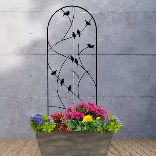 Songbird Spiral Trellis