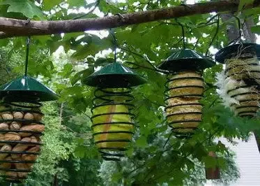 Spring Feeders and Nesting Material Holder