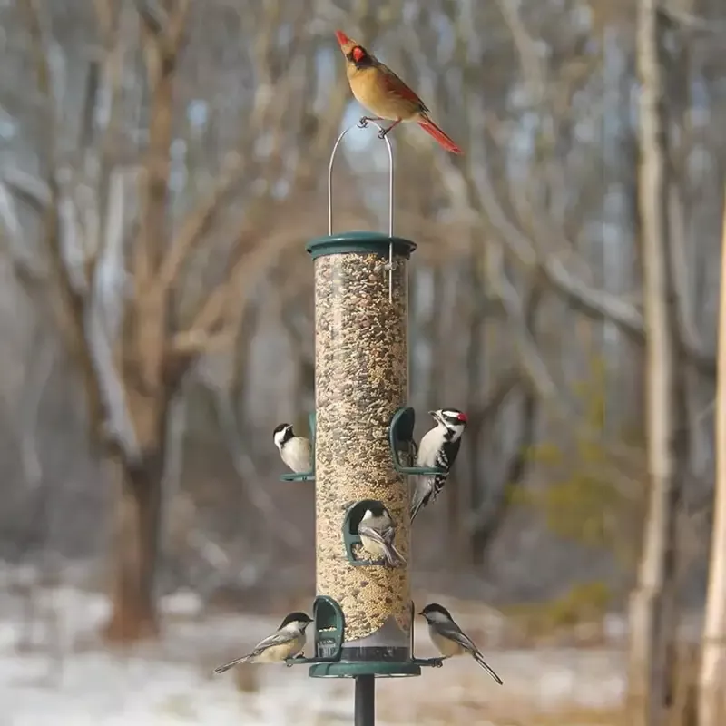 Spruce Big Tube Wild Bird Feeder by Aspects
