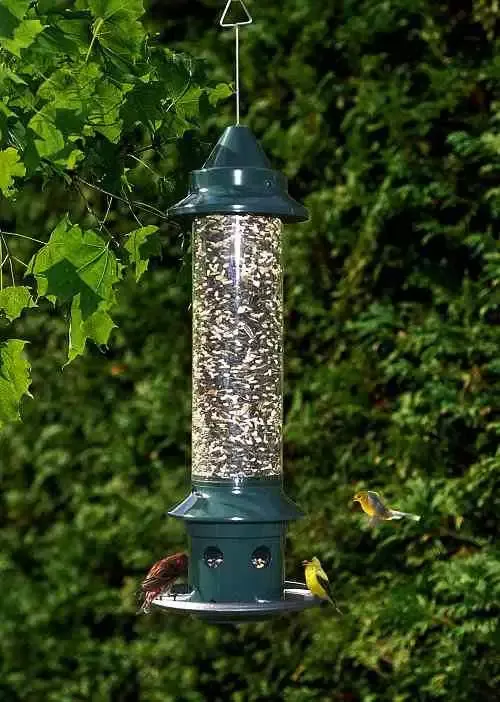 Squirrel Buster Plus with Optional Weather Guard