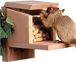 Squirrel Munch Box