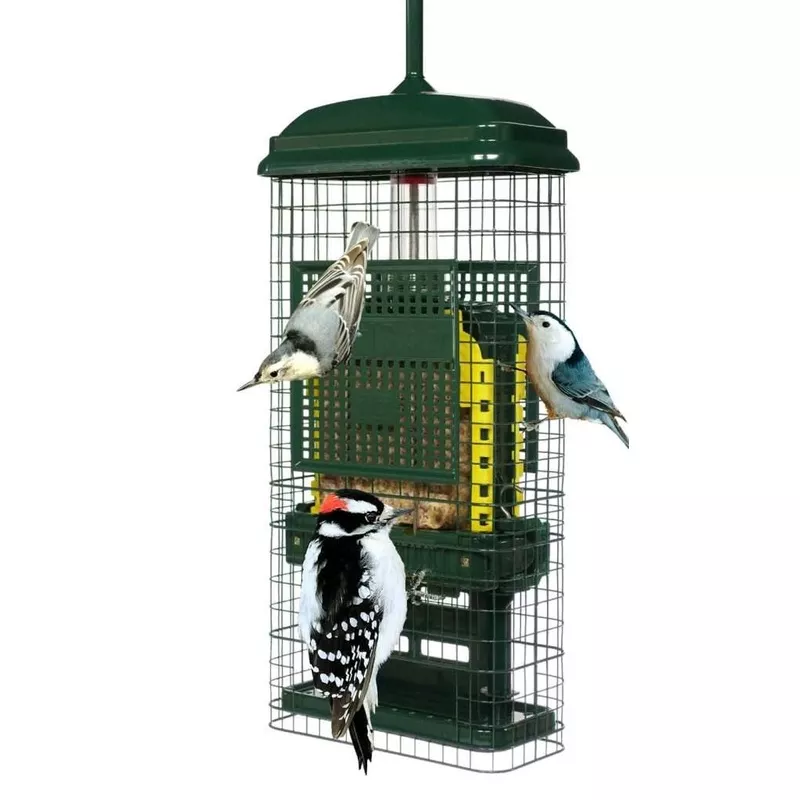 Squirrel-Proof Suet Feeder