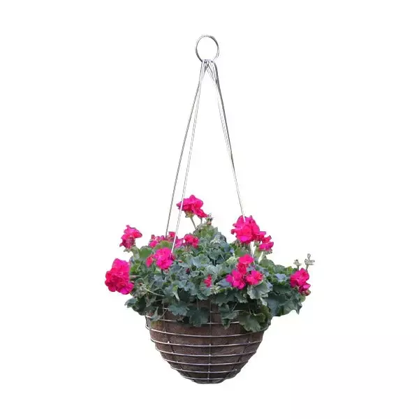 Stainless Steel Basket and Liner Set