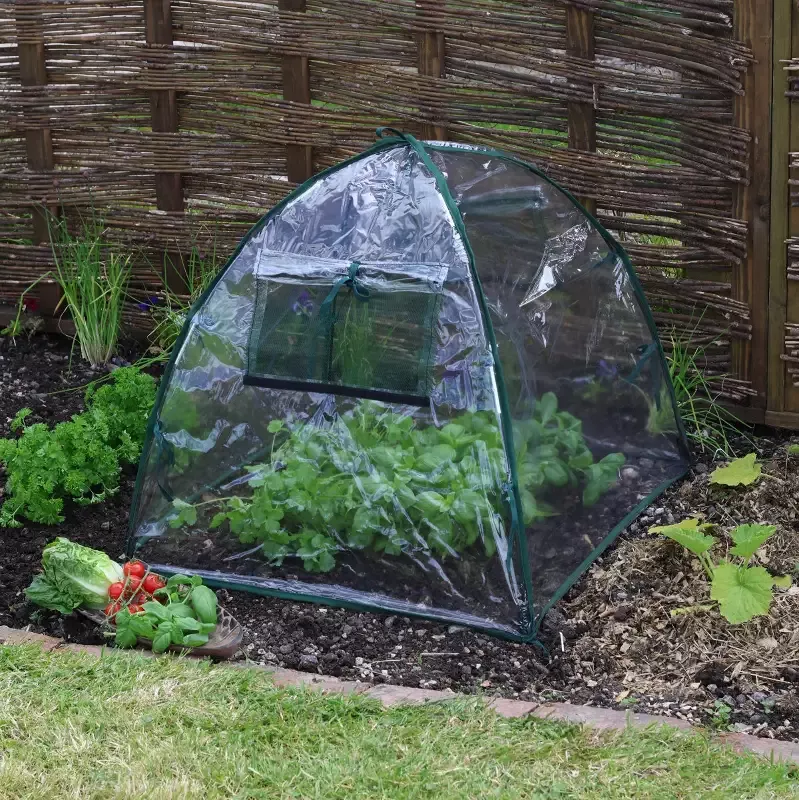 Standard Easy Poly Dome Plant Protection Cloche, 22″L x 22″W x 22″H