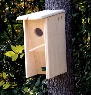Starling Resistant Flicker Birdhouse