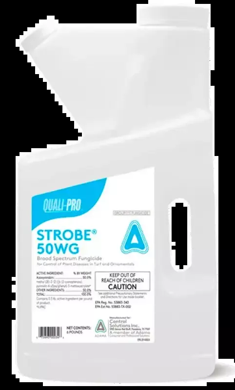 Strobe 50WG Fungicide