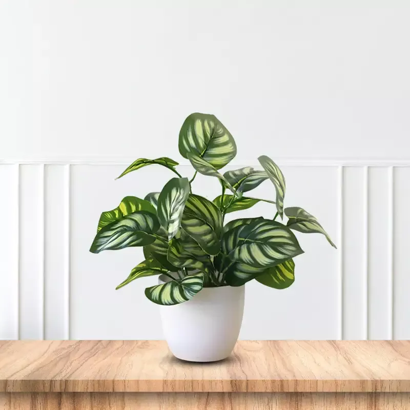 Stunning Peacock Plant in pot of your choice-Artificial-Good Gift