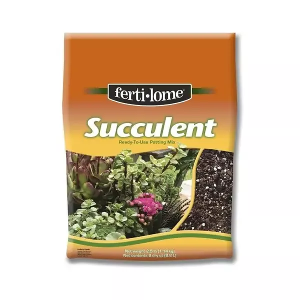 Succulent Potting Mix – 8 qt