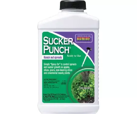 Sucker Punch