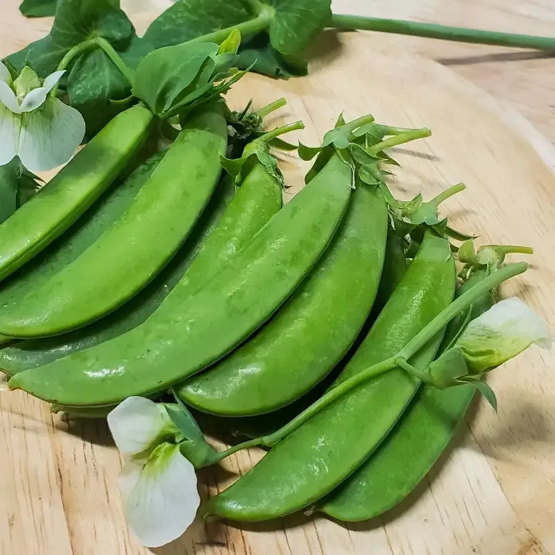Sugar Snap Pea : 1/4 Pound