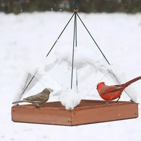 Super Tray Bird Feeder with Cover