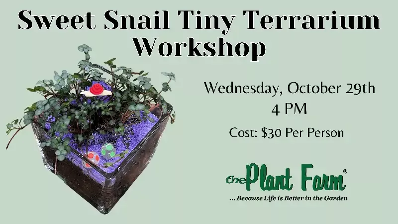 Sweet Snail Tiny Terrarium- Wednesday, October 29th @ 4PM
