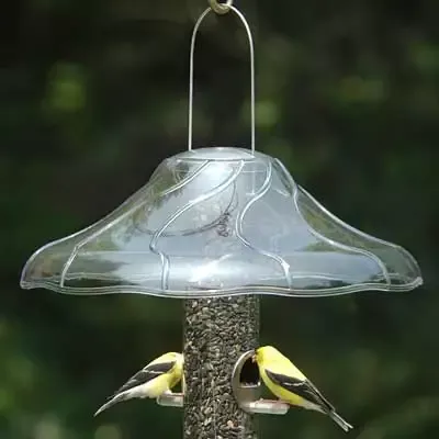 Swirl Hanging Weather Guard and Squirrel Baffle