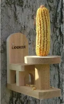 Table and Chair Squirrel Feeder 2nd Gen
