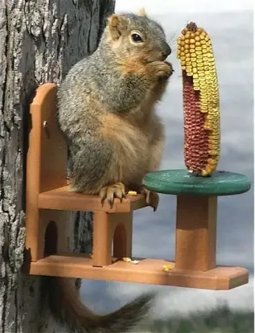Table and Chair Squirrel Feeder – Recycled Plastic