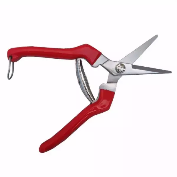 TABOR TOOLS K77A Stainless Steel Straight Pruning Scissors