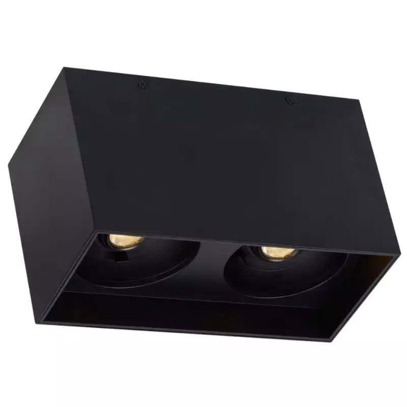 Tech Lighting 700FM Exo 6 Dual Flush Mount By Visual Comfort