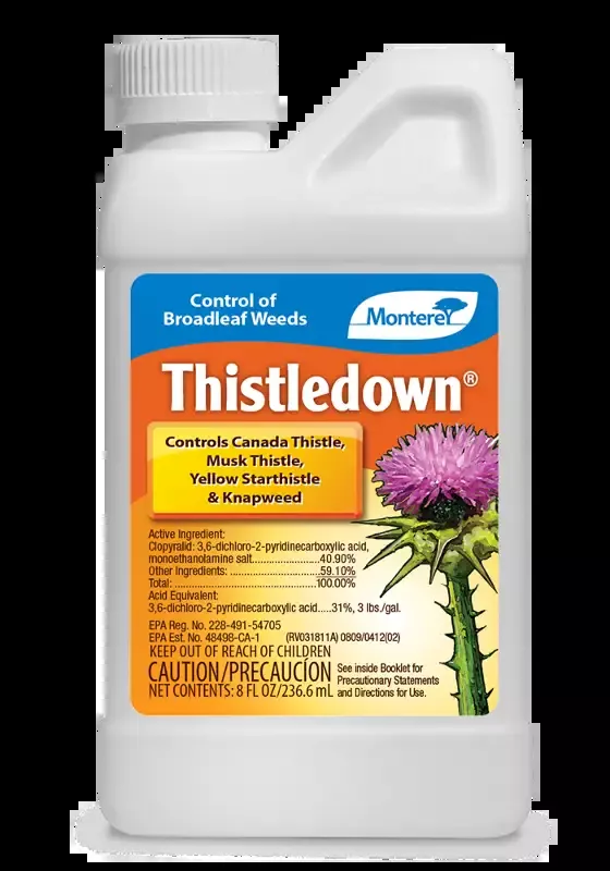 Thistledown