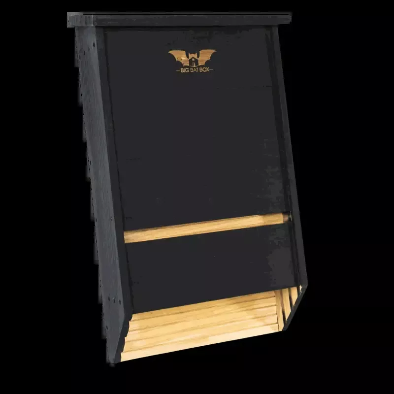 Three Chamber Bat House – Premium Black Cedar Bat Box (Black)