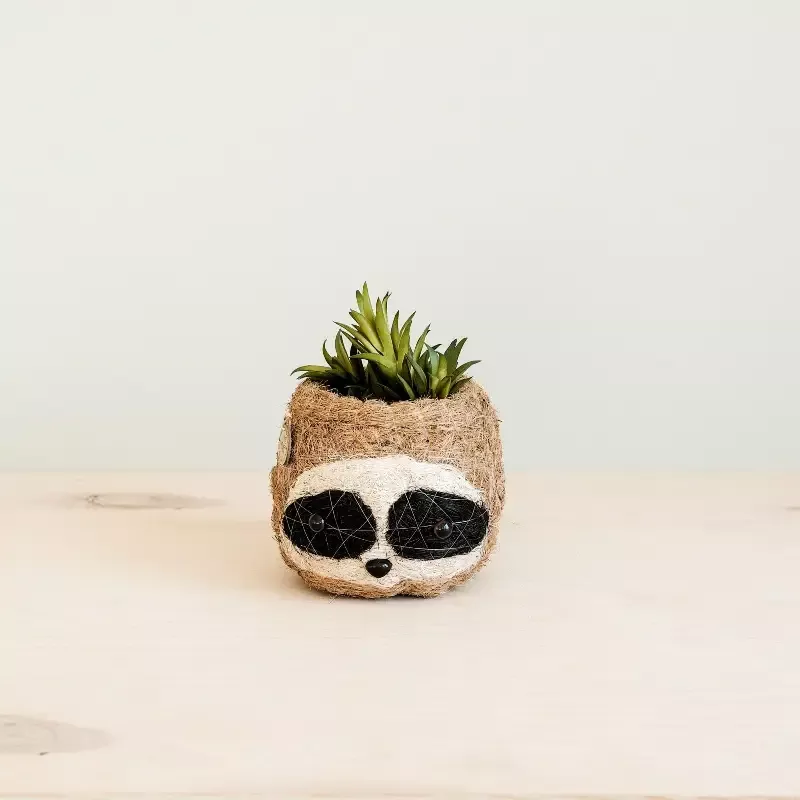 Three-tone Sloth Coco Coir Planter – Handmade Planters