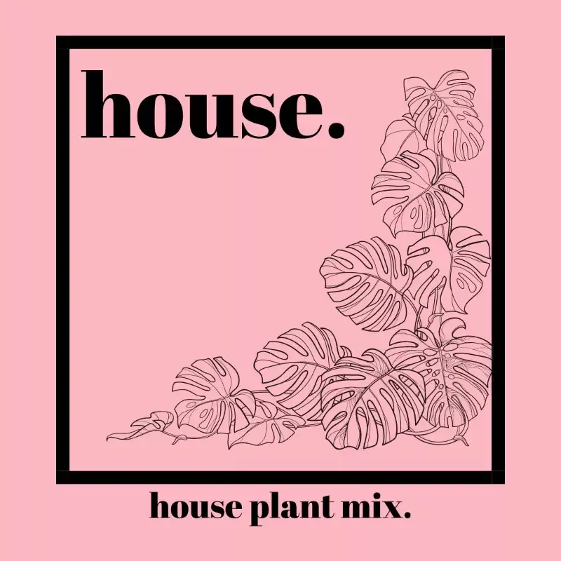 Tilth Soil: House Organic Indoor Houseplant Soil Mix
