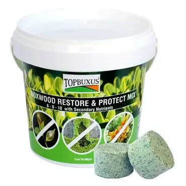 Topbuxus™ Boxwood Restore & Protect Mix
