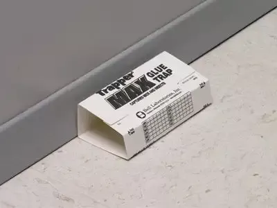 TRAPPER MAX Universal Glue Board