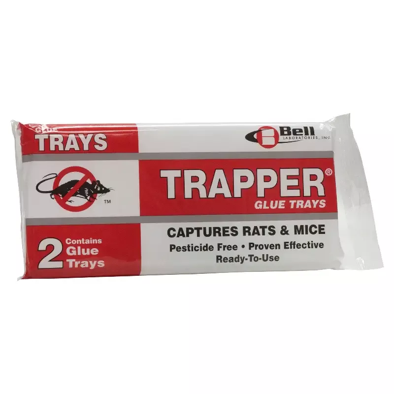 TRAPPER Rat Glue Boards – Box of 24 x 2 packs