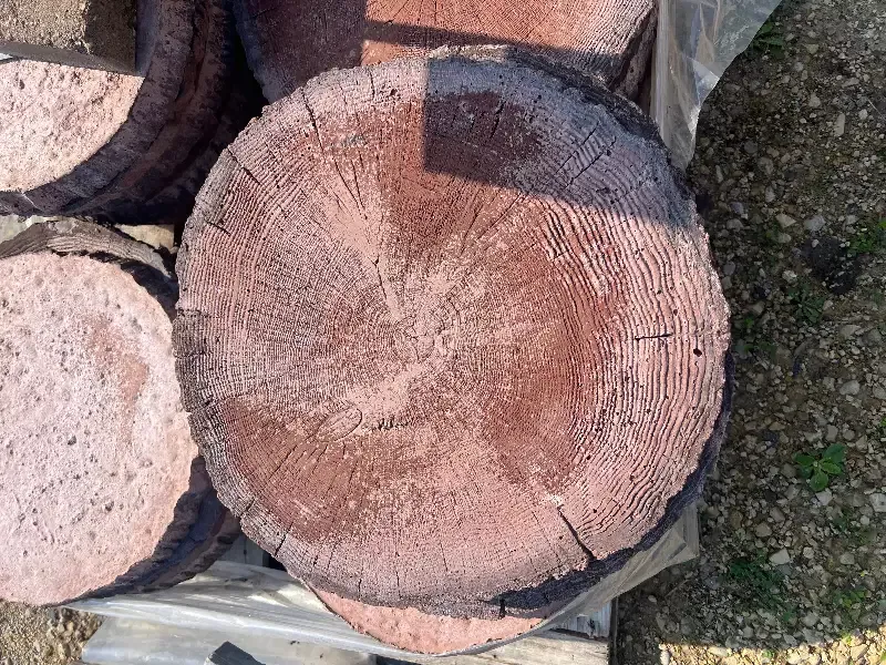 Tree Round-18″