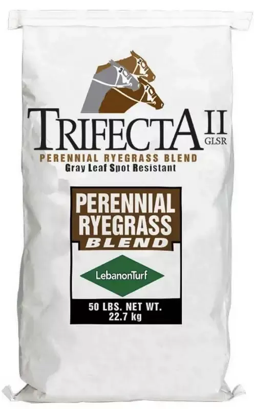 Trifecta II Perennial Rye Seed Blend