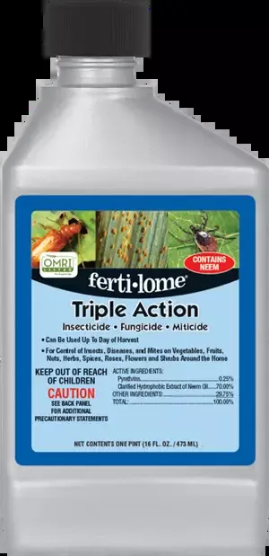 Triple Action Plus