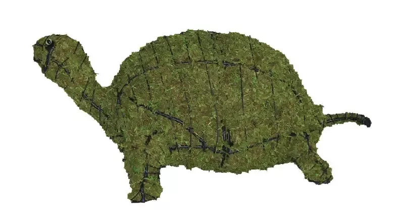 Turtle 29″ Moss Topiary Sculptures