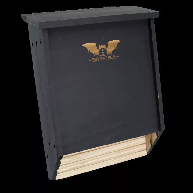Two-Chamber Bat House (Black)