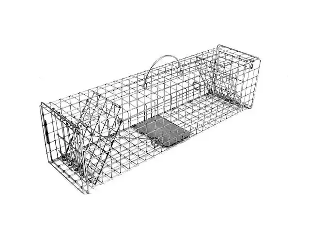 Two-Door Squirrel Trap