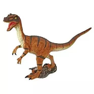 Velociraptor Dinosaur