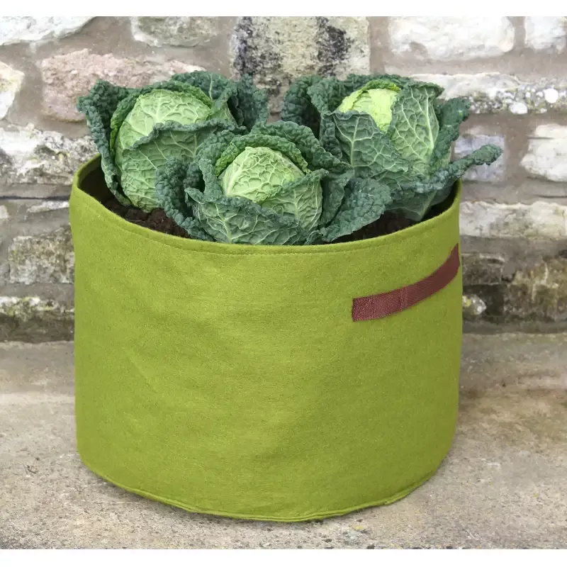 Vigoroot™ Vegetable Planter 15.7″D x 11.7″H