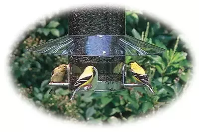 Weather Guard for Classic Bird Feeders