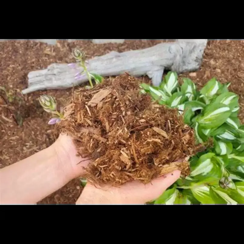 Western Red Cedar Mulch