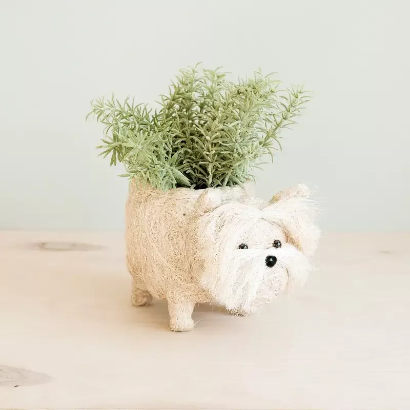Westie Planter – Coco Coir Pots