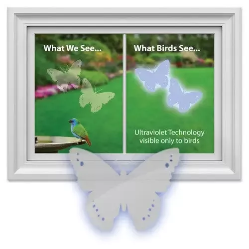 Window Alert Decals- Prevent Bird Strikes