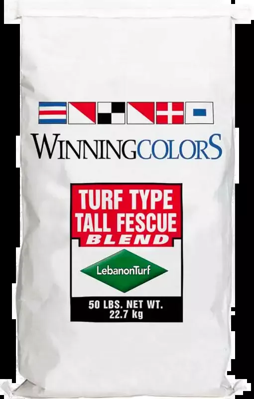 Winning Color Fescue Seed
