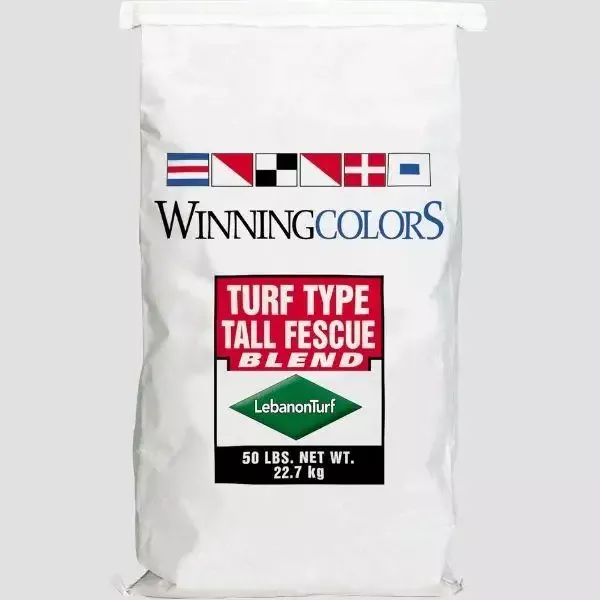 Winning Colors Fescue Blend Grass Seed