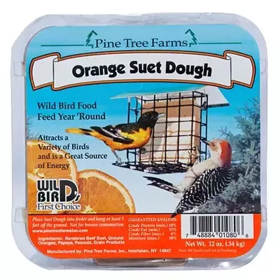 Zesty Orange Suet Dough – Pack of 12